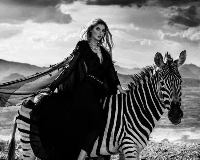Melinda London in Kapstadt sitzt auf einem echten Zebra in Kapsttadt mitt einem tollen schwarzen Kleid.
